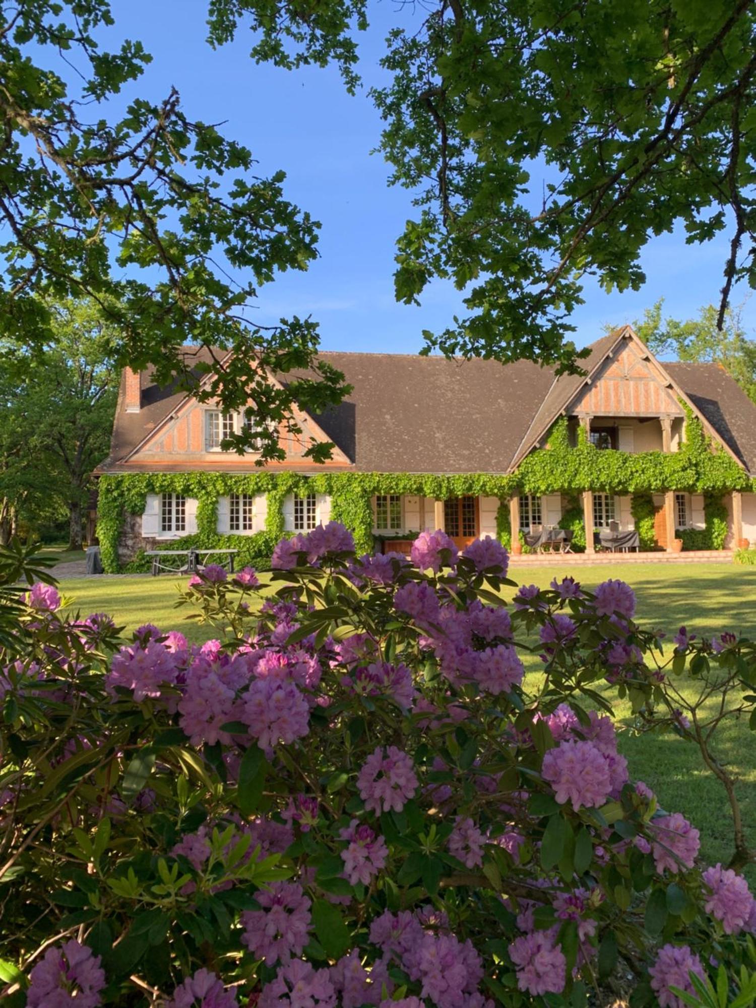Les Vieux Guays Bed and Breakfast Cerdon  Eksteriør billede