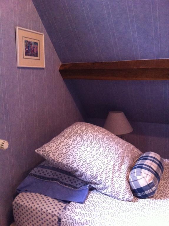 Les Vieux Guays Bed and Breakfast Cerdon  Eksteriør billede