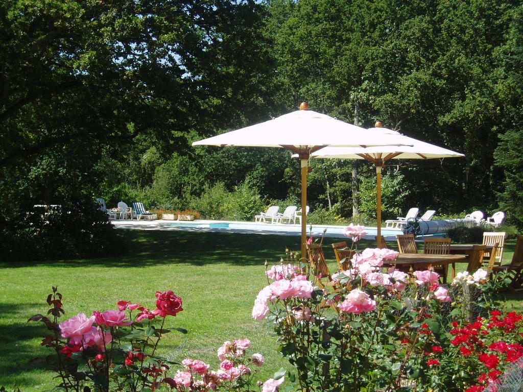 Les Vieux Guays Bed and Breakfast Cerdon  Eksteriør billede