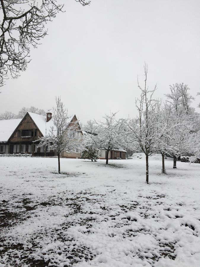 Les Vieux Guays Bed and Breakfast Cerdon  Eksteriør billede
